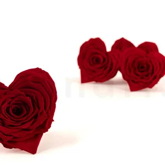 Preserved Heart-Shaped Rose Red (set of 4)
