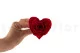 Preserved Heart-Shaped Rose Red (set of 4) 4