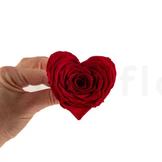 Preserved Heart-Shaped Rose Red (set of 4)