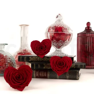Preserved Heart-Shaped Rose Red (set of 4)