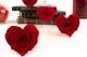 Preserved Heart-Shaped Rose Red (set of 4) 1