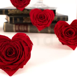 Preserved Heart-Shaped Rose Red (set of 4)