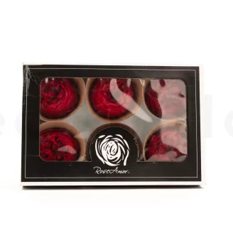 Preserved Rose Peony Red (set of 6)
