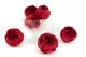 Preserved Rose Peony Red (set of 6) 8