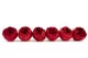 Preserved Rose Peony Red (set of 6) 5