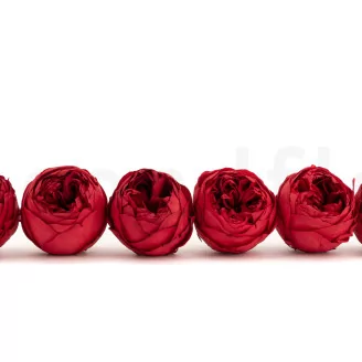 Preserved Rose Peony Red (set of 6)