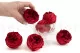 Preserved Rose Peony Red (set of 6) 6