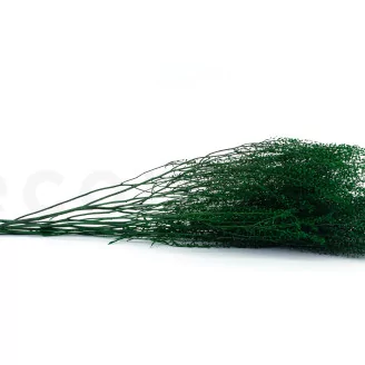 Preserved Lepidium