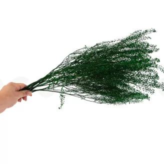 Preserved Lepidium
