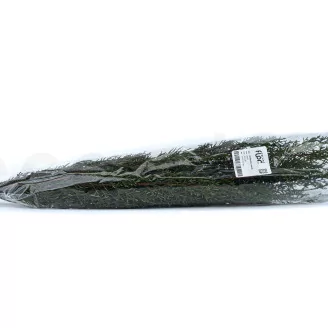 Preserved Cypress