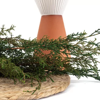 Preserved Cypress