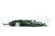 Preserved English Ivy 8