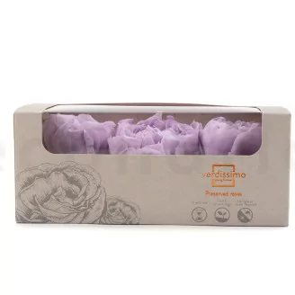 Preserved Peony Lavender (set of 3)