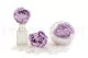 Preserved Peony Lavender (set of 3) 5