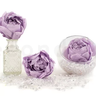 Preserved Peony Lavender (set of 3)