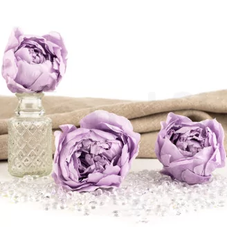 Preserved Peony Lavender (set of 3)