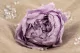 Preserved Peony Lavender (set of 3) 1