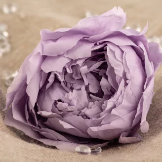Preserved Peony Lavender (set of 3)