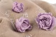 Preserved Peony Lavender (set of 3) 7