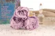 Preserved Peony Lavender (set of 3) 8