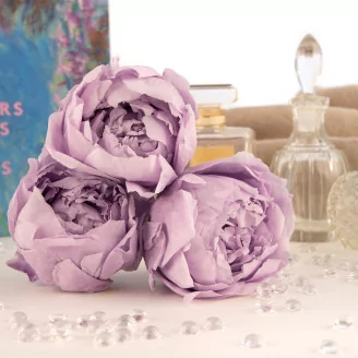 Preserved Peony Lavender (set of 3)