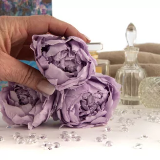Preserved Peony Lavender (set of 3)