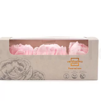 Preserved Peony Pink (set of 3)