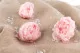 Preserved Peony Pink (set of 3) 6