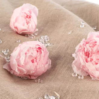 Preserved Peony Pink (set of 3)
