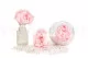 Preserved Peony Pink (set of 3) 7