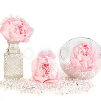 Preserved Peony Pink (set of 3)