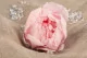 Preserved Peony Pink (set of 3) 1