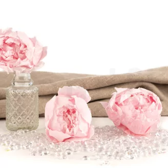 Preserved Peony Pink (set of 3)