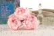 Preserved Peony Pink (set of 3) 8