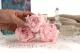 Preserved Peony Pink (set of 3) 9