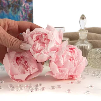 Preserved Peony Pink (set of 3)