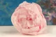 Preserved Peony Pink (set of 3) 10