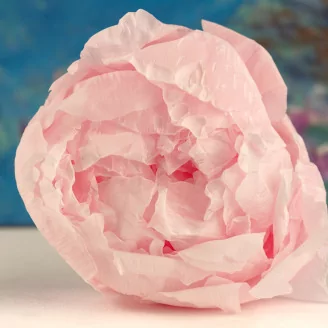 Preserved Peony Pink (set of 3)