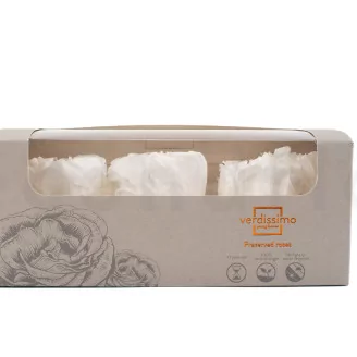 Preserved Peony White (set of 3)