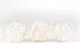 Preserved Peony White (set of 3) 5