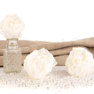 Preserved Peony White (set of 3)