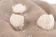 Preserved Peony White (set of 3) 6