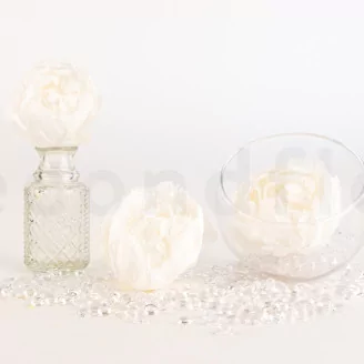 Preserved Peony White (set of 3)