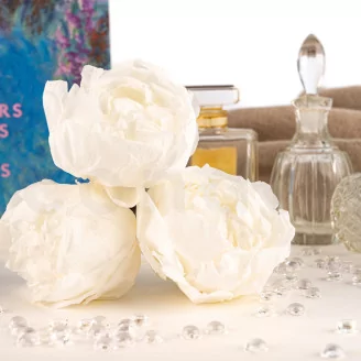 Preserved Peony White (set of 3)