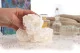 Preserved Peony White (set of 3) 9