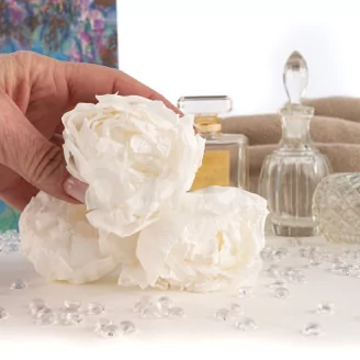 Preserved Peony White (set of 3)