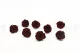 Preserved Rose L Burgundy (set of 8) 6