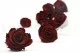 Preserved Rose L Burgundy (set of 8) 9
