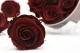 Preserved Rose L Burgundy (set of 8) 1
