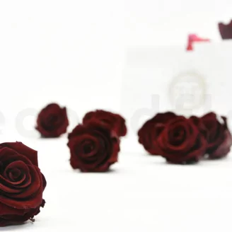 Preserved Rose L Burgundy (set of 8)